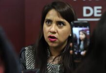 Crean IA que protege a mujeres víctimas de violencia digital: ¿cómo funciona?