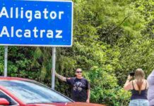 Cónsul de México en Miami confirma detención de 78 mexicanos en “Alligator Alcatraz”